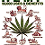 Post: Hemp Heals Us