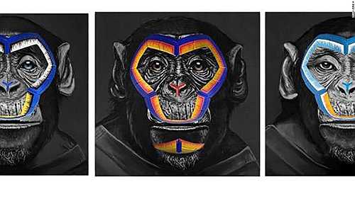 Italian soccer anti-racism monkey artwork sparks 'outrage' - CNN Video Italian soccer anti-racism monkey artwork sparks 'outrage' - CNN Video