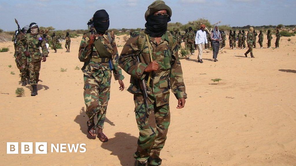 Al-Shabab makes deadly start to 2020