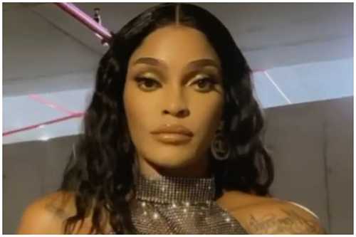 'Got the Internet Crackin': Joseline Hernandez Fans Go Crazy Over Her Sexy Strut
