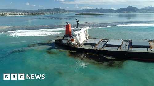 Why the Mauritius oil spill is so serious