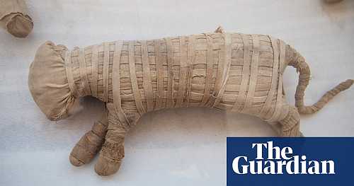 Scans peek beneath wrappings of ancient mummified animals