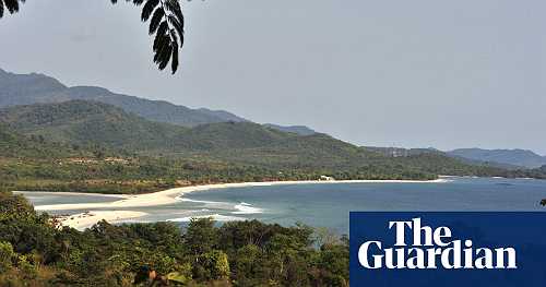 ‘Catastrophic’: Sierra Leone sells rainforest for Chinese fish plant
