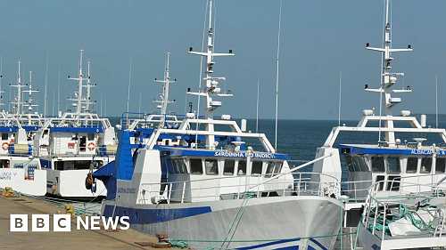 Mozambique 'tuna bond' scandal: Ex-President Guebuza's son on trial