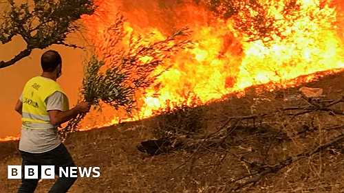 Algeria's desperate wildfire fight: Buckets and branches
