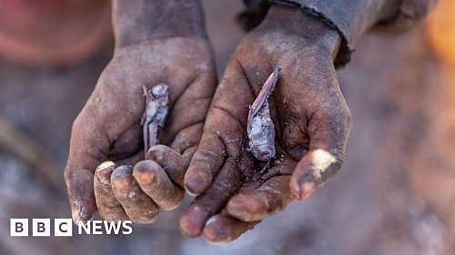 Madagascar on the brink of climate change-induced famine