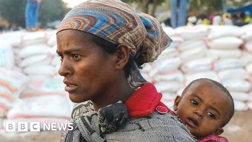 Ethiopia's Tigray crisis: Why are hundreds of aid trucks stranded?