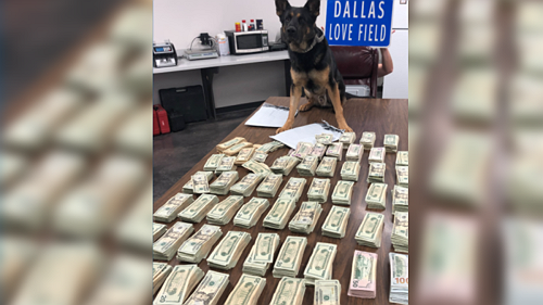 'Suspicious': Dallas Detectives Seize $100k from Woman at Airport Without Charging Her With a Crime