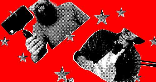 The Future of Political Influencers