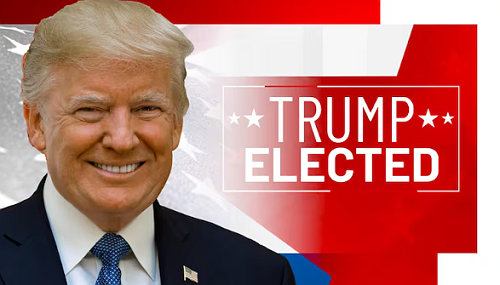 Donald Trump Did Not Win the Presidential Election.