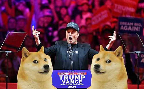 What's DOGE? Musk's new political appointment under Trump is a crypto joke | TechCrunch