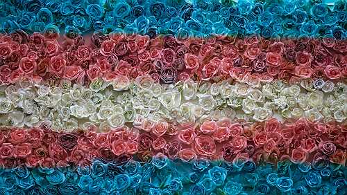 What to know about Transgender Day of Remembrance and violence against trans people