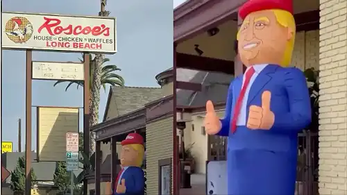 'Y'all Can Stay Canceling Us': Social Media Users Call for Boycott Against Roscoe's Chicken 'N Waffles After Video of Blow-up Trump Doll In Front of the Iconic Eatery, But Management Says It's Not What It Seems 'Y'all Can Stay Canceling Us': Social Media Users Call for Boycott Against Roscoe's Chicken 'N Waffles After Video of Blow-up Trump Doll In Front of the Iconic Eatery, But Management Says It's Not What It Seems