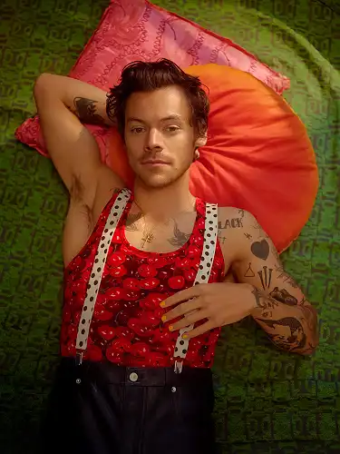 Everything We Know About Harry Styles’ Fourth Album - CelebMix
