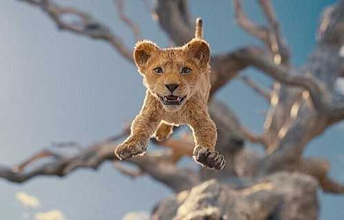 What to Watch This Weekend: Must-See Streaming and Big Screen Picks