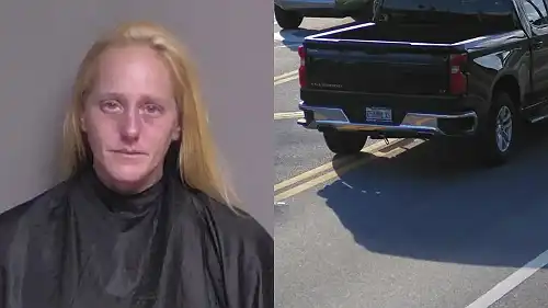 'His Head Was Split Wide Open': Florida Woman Takes Tearful Mug Shot After Allegedly Hitting Teen, Hiding License Plate to Evade Police Then Getting Pulled Over Later for Reckless Driving