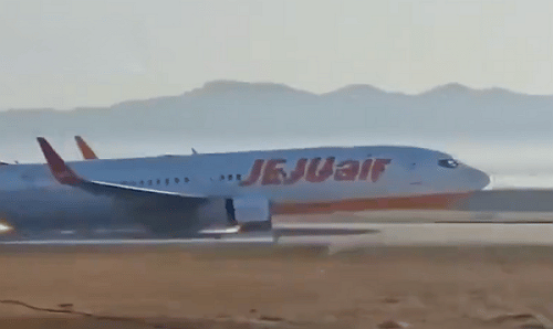 Deadliest Air Disaster in South Korea: Boeing 737-800 Crash Kills 179 at Muan Airport