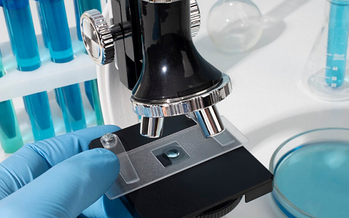 MIDDLE SCHOOL GIRL FINDS CANCER-FIGHTING BACTERIA IN AN UNLIKELY SOURCE