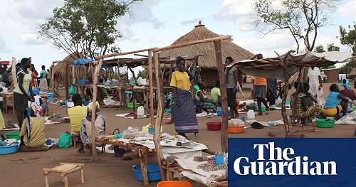 Massive deforestation by refugees in Uganda sparks clashes with local people