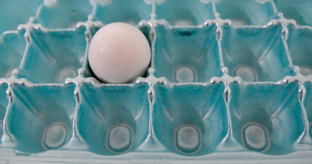 With egg prices rising and shortages in stores, these egg substitutes can help in the kitchen