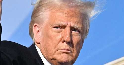 Trump says Elon Musk and DOGE will review 