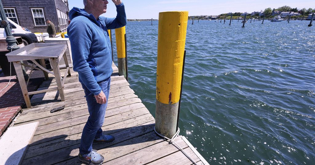 Endurance athlete marks 'Jaws' anniversary with swim to change shark narrative | Africanews