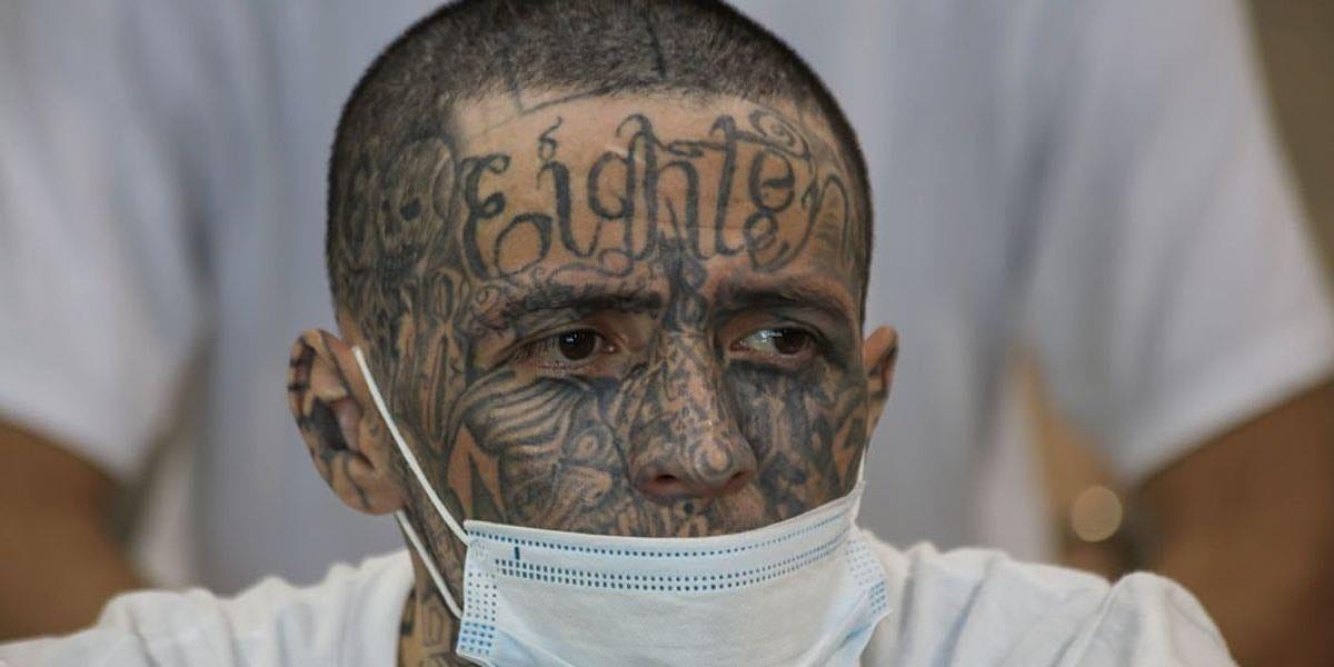 Opinion: The ACLU’s Misguided Crusade Prioritizing Illegals and Terrorists Over American Safety