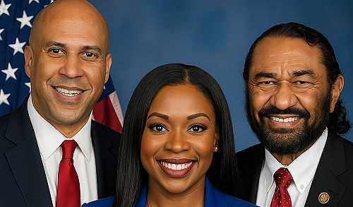 Booker, Crockett, and Green? They Don’t Speak for Me!