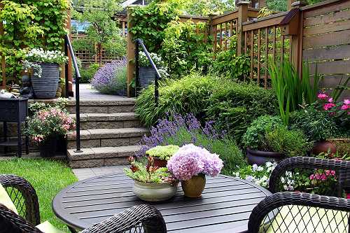 Backyard Wealth: Create an Outdoor Oasis Without Draining Your Savings · Madam Money®