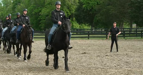 Why the Army feels safe resuming use of horse-drawn funeral carriages at Arlington National Cemetery