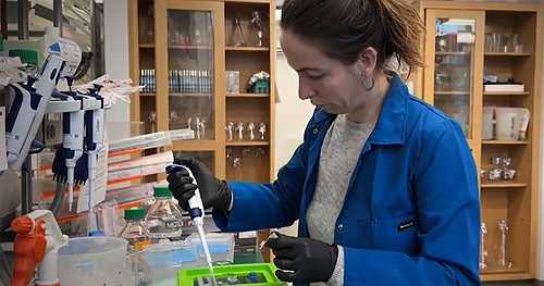 Health expert calls Trump's medical research cuts 