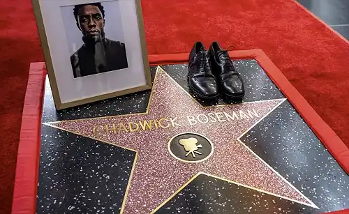 Chadwick Boseman Walk Of Fame Tribute