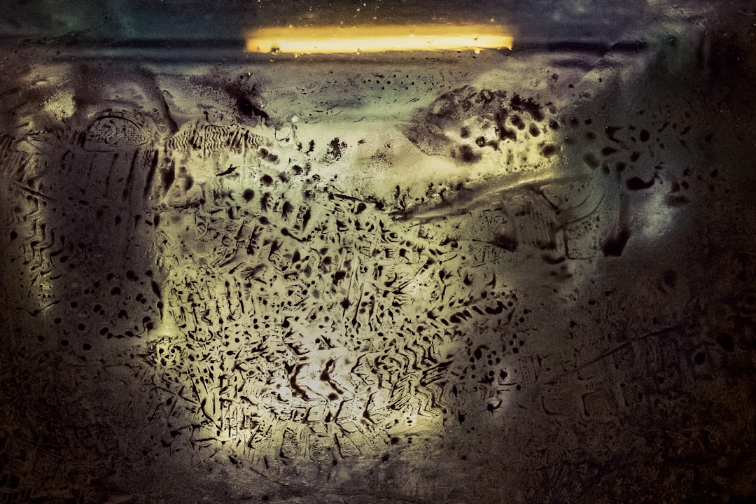 After A Pest Infestation: Cleaning, Safety & Prevention Tips