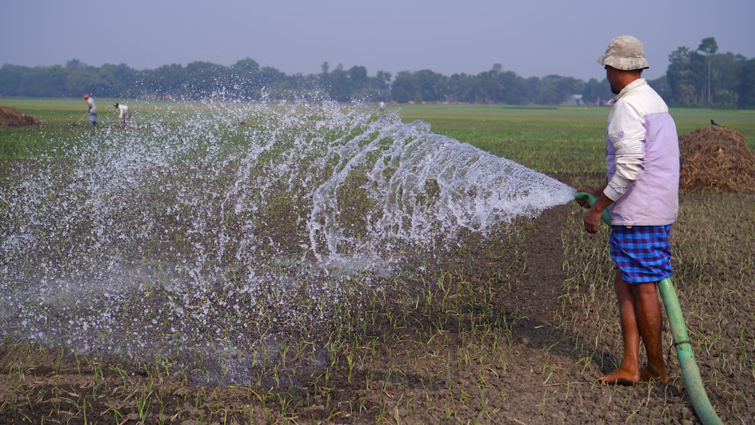 Irrigation Basics: Sprinklers, Drip Systems & Water-Saving Tips