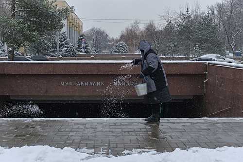 Tree Removal: DIY Vs. Pro - Safety & Cost Guide