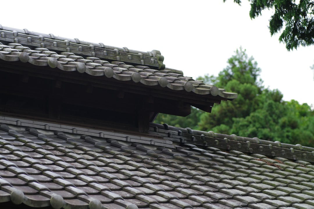 Roof Repair Vs Replacement: Make The Smart Call