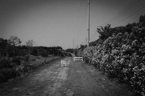 Grieving the Estranged Father: Lament as the Path to Healing