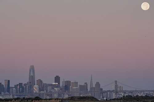 A Divine Appointment