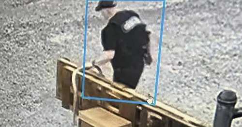 Bloodhounds hunting fugitive dubbed "Devil in the Ozarks" foiled by heavy rains after prison escape