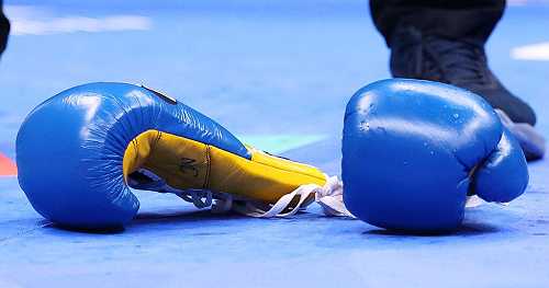 2 Japanese boxers died from brain injuries after separate bouts at the same event