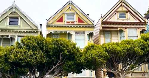 The fight to maintain Painted Ladies