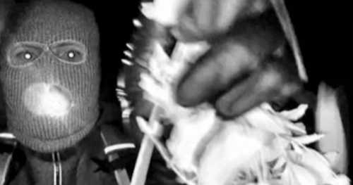 Authorities believe masked person at Nancy Guthrie