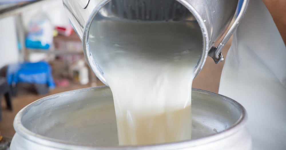 Florida officials warn about risks of drinking raw milk after 21 people sickened