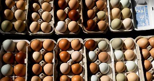 Egg prices for consumers fell to 5-month low in May. Here
