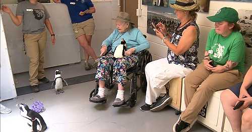 Coloradan whose inclusion on Antartica research trip was denied 70 years ago, because she