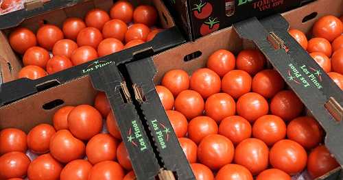 Trump administration imposes 17% tariff on fresh Mexican tomatoes
