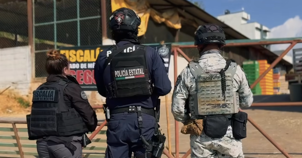 Mexico busts cartel-linked extortion ring in historic crackdown; exotic animals and cars seized