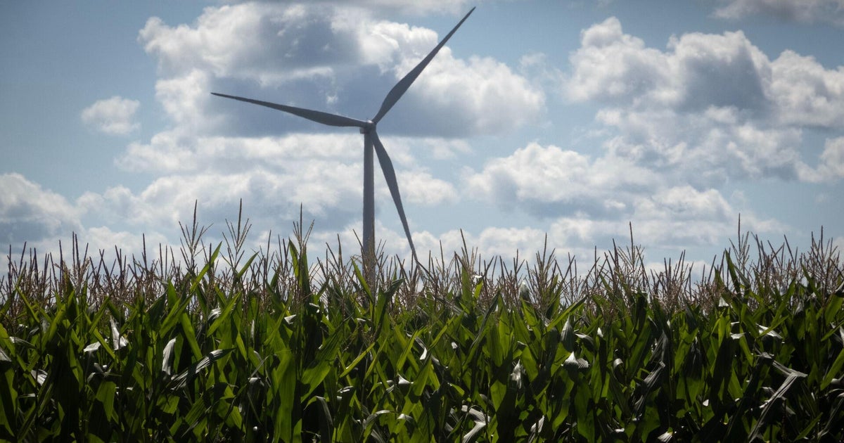 How "corn sweat" is making Iowa heat worse
