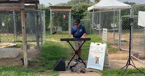 Meet the Texas boy playing music for shelter animals