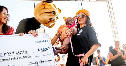 Petunia nabs the title in the "World